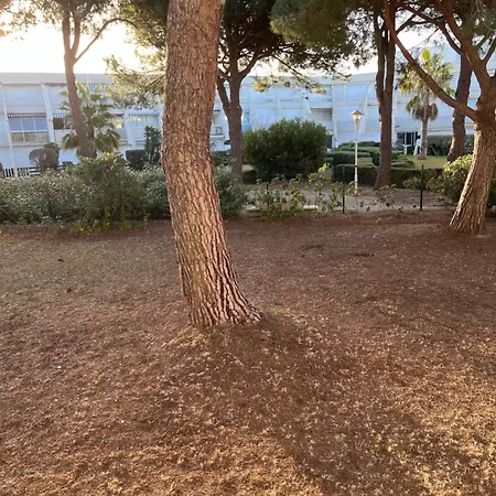 Daire Les Caravelles Sud *