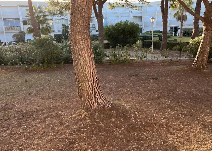 Daire Les Caravelles Sud *